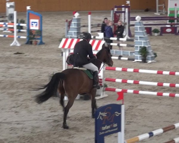 Reitturnier Xanten 2018