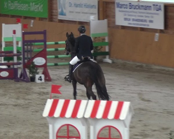 Reitturnier Xanten 2018