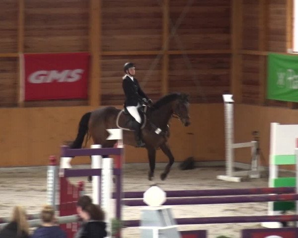 Reitturnier Xanten 2018