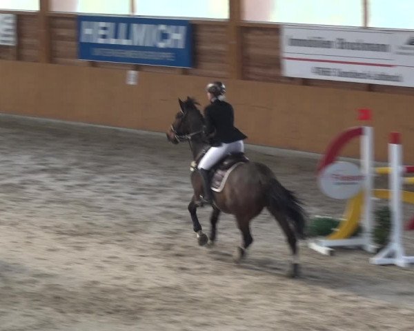 Reitturnier Xanten 2018
