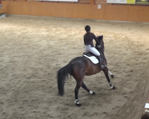 Reitturnier Xanten 2018
