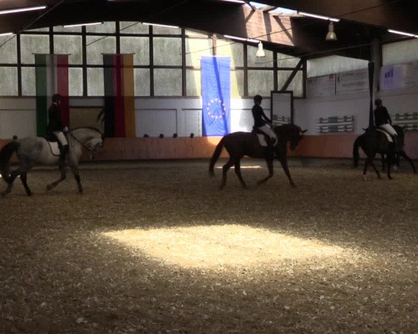 Reitturnier Bottrop 2018