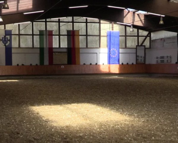 Reitturnier Bottrop 2018