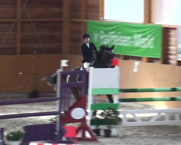 Reitturnier Xanten 2018