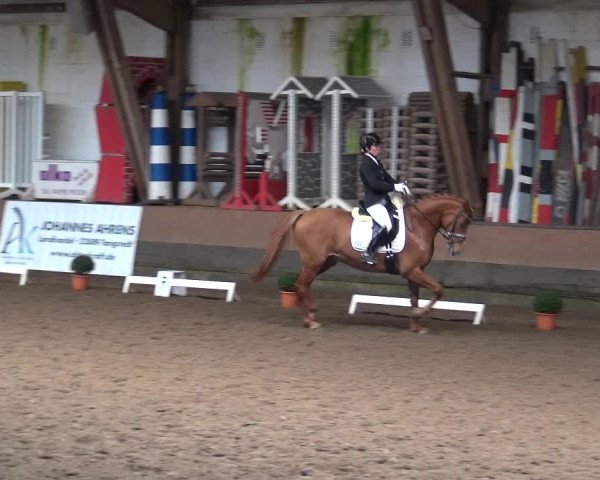 Reitturnier Hamburg-Hummelsbüttel 2018