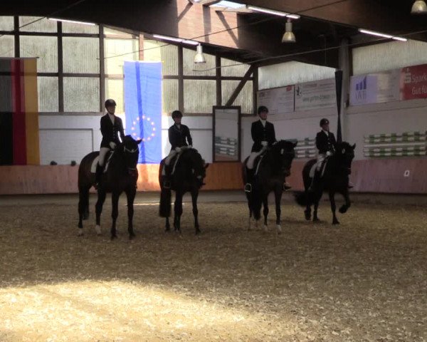 Reitturnier Bottrop 2018