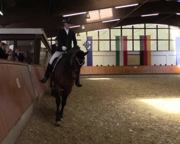 Reitturnier Bottrop 2018