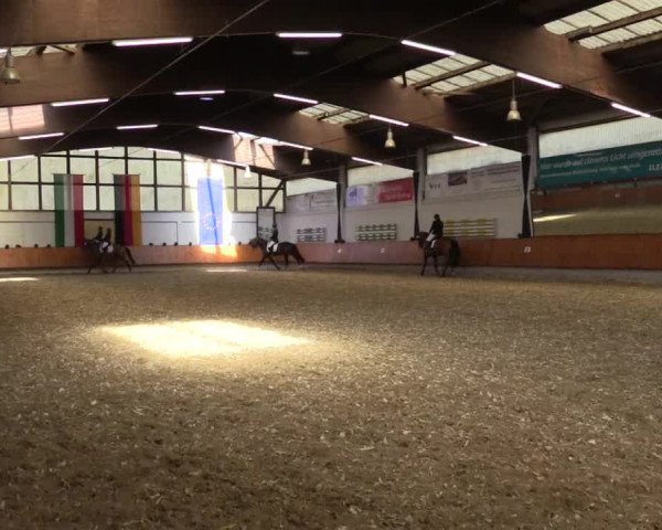 Reitturnier Bottrop 2018