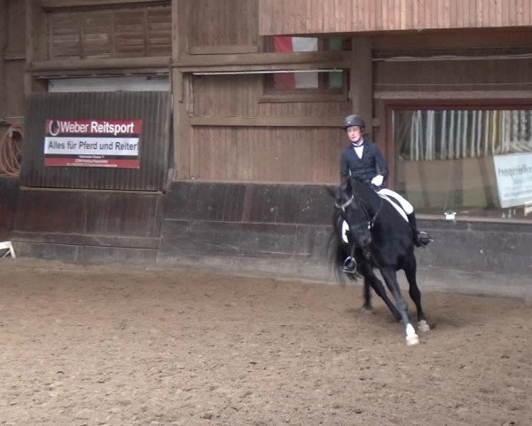 Reitturnier Hamburg-Hummelsbüttel 2018