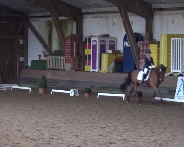 Reitturnier Hamburg-Hummelsbüttel 2018