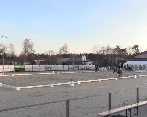 Reitturnier Schloß Holte 2018