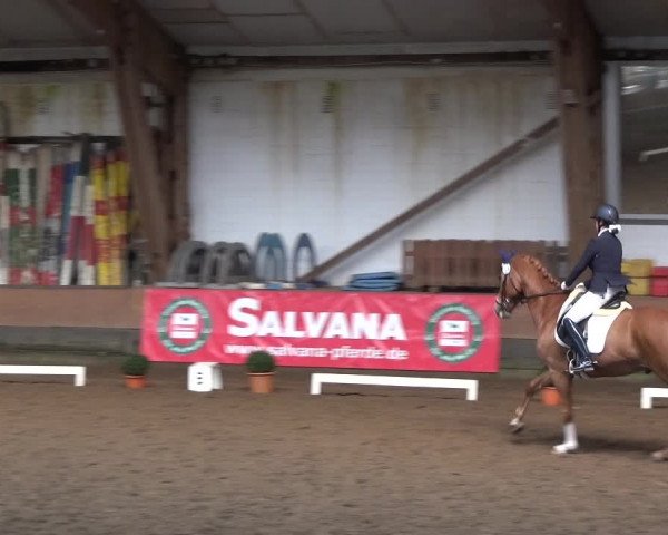 Reitturnier Hamburg-Hummelsbüttel 2018