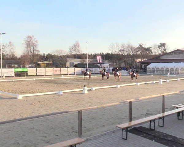 Reitturnier Schloß Holte 2018