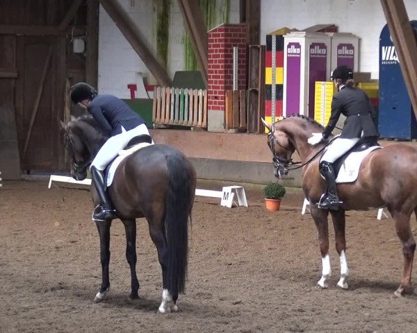 Reitturnier Hamburg-Hummelsbüttel 2018