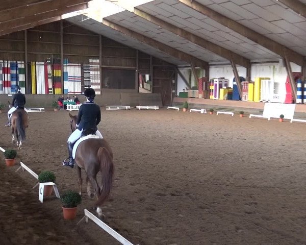 Reitturnier Hamburg-Hummelsbüttel 2018