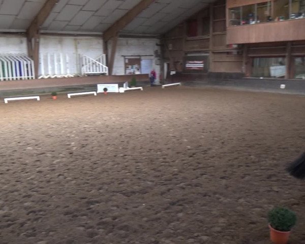 Reitturnier Hamburg-Hummelsbüttel 2018