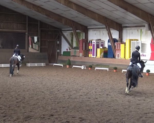 Reitturnier Hamburg-Hummelsbüttel 2018
