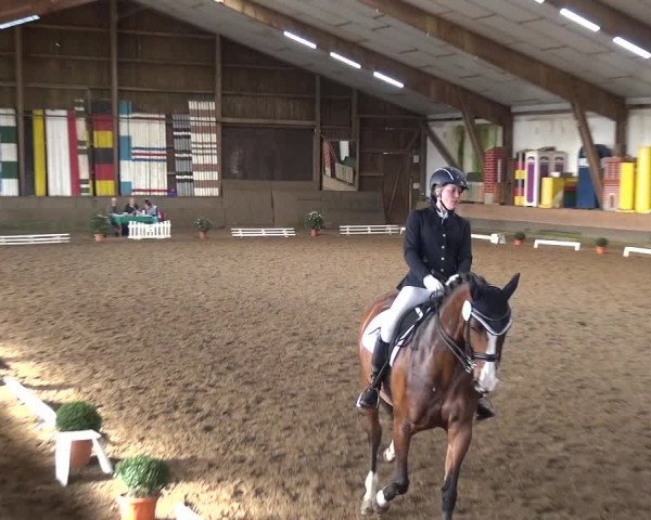 Reitturnier Hamburg-Hummelsbüttel 2018