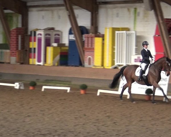 Equestrian Show Hamburg-Hummelsbüttel 2018