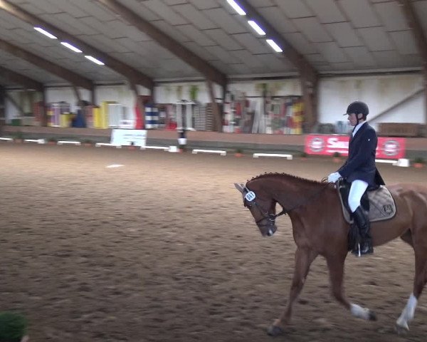 Reitturnier Hamburg-Hummelsbüttel 2018