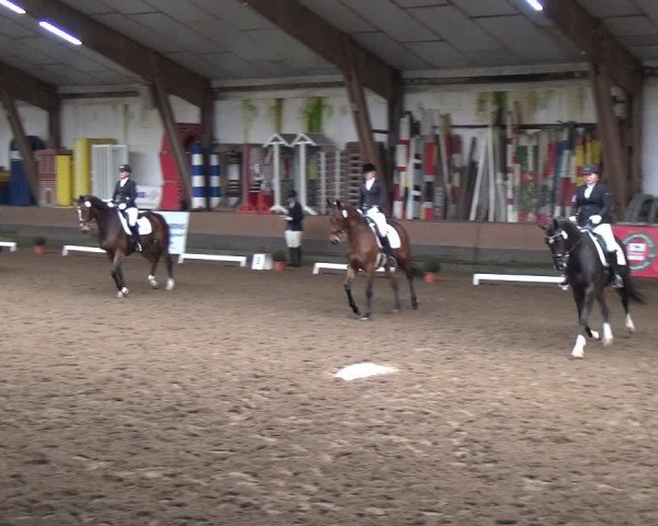 Reitturnier Hamburg-Hummelsbüttel 2018