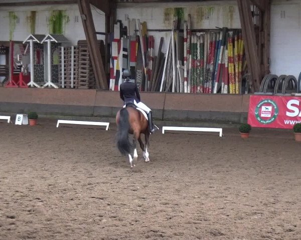 Reitturnier Hamburg-Hummelsbüttel 2018