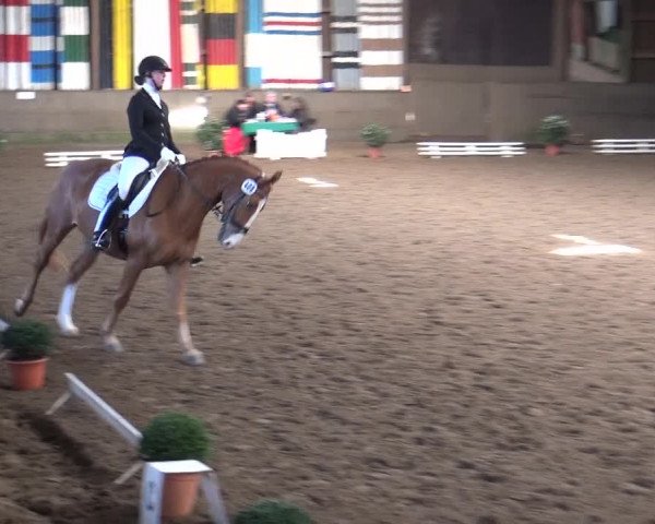 Reitturnier Hamburg-Hummelsbüttel 2018