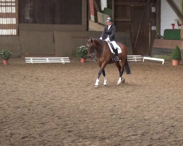 Reitturnier Hamburg-Hummelsbüttel 2018