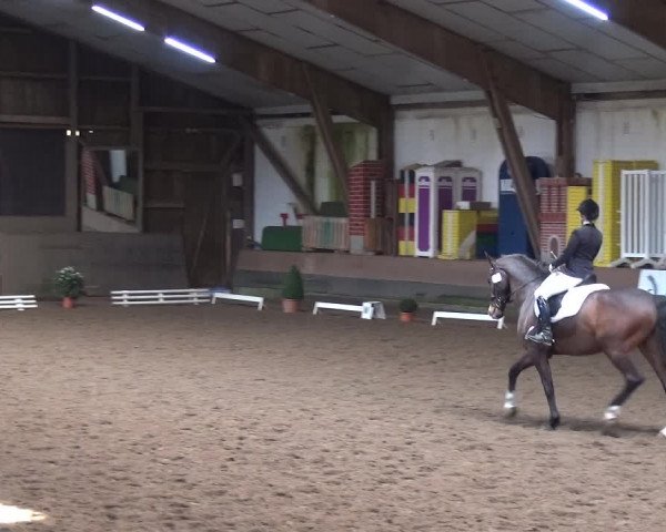 Reitturnier Hamburg-Hummelsbüttel 2018