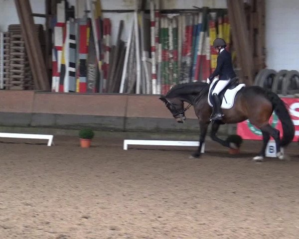 Reitturnier Hamburg-Hummelsbüttel 2018