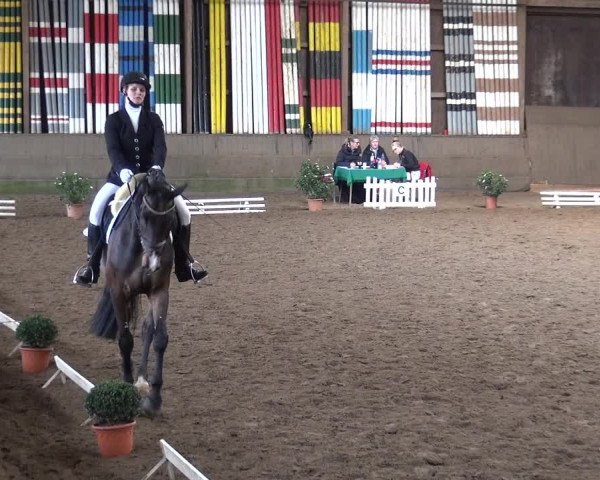 Reitturnier Hamburg-Hummelsbüttel 2018