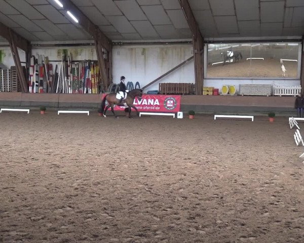 Reitturnier Hamburg-Hummelsbüttel 2018