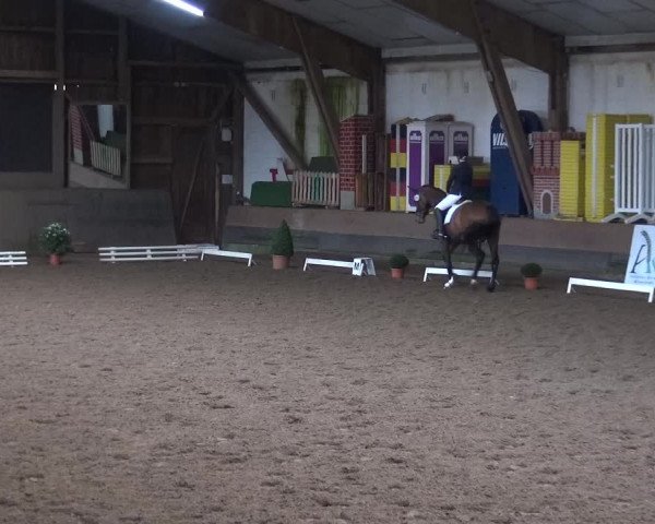 Reitturnier Hamburg-Hummelsbüttel 2018