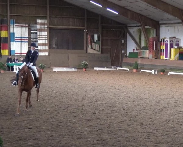 Reitturnier Hamburg-Hummelsbüttel 2018