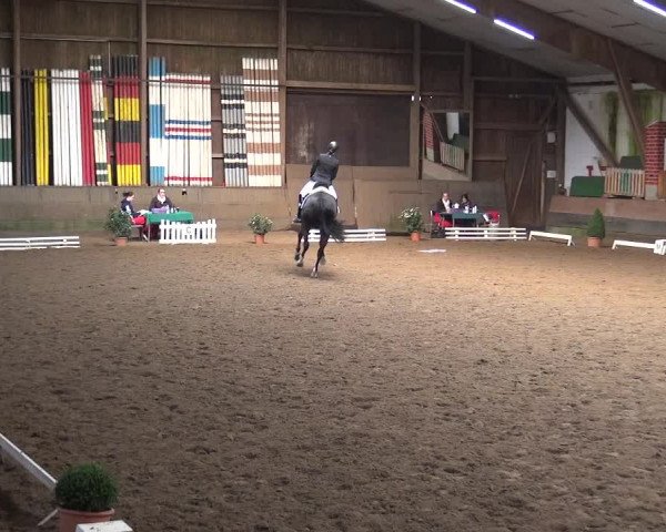 Reitturnier Hamburg-Hummelsbüttel 2018
