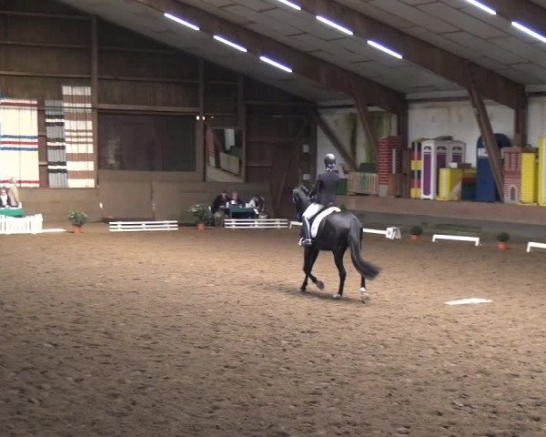 Reitturnier Hamburg-Hummelsbüttel 2018