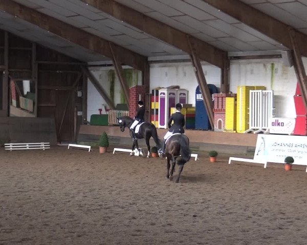 Reitturnier Hamburg-Hummelsbüttel 2018