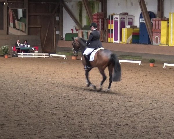 Reitturnier Hamburg-Hummelsbüttel 2018