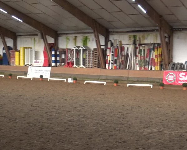Reitturnier Hamburg-Hummelsbüttel 2018