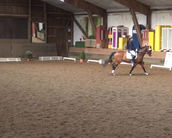 Reitturnier Hamburg-Hummelsbüttel 2018