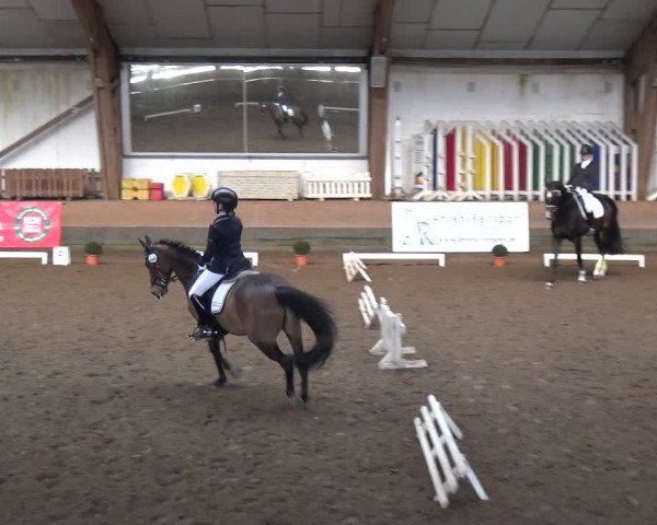 Reitturnier Hamburg-Hummelsbüttel 2018