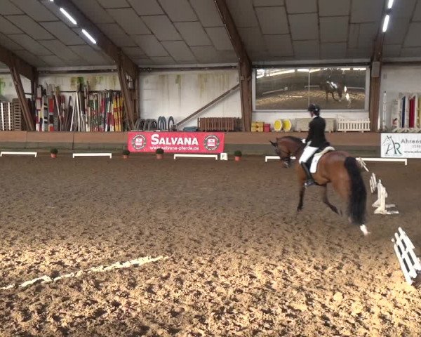 Reitturnier Hamburg-Hummelsbüttel 2018