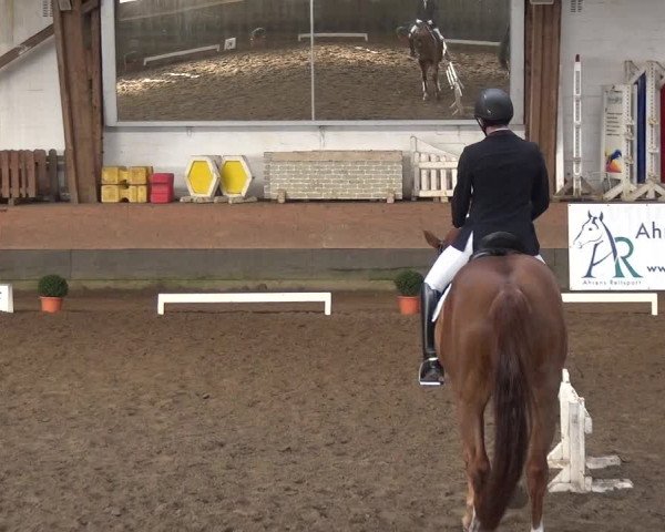 Reitturnier Hamburg-Hummelsbüttel 2018