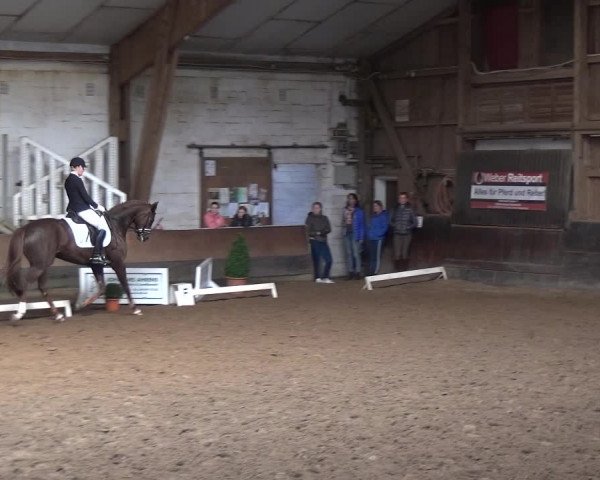 Reitturnier Hamburg-Hummelsbüttel 2018