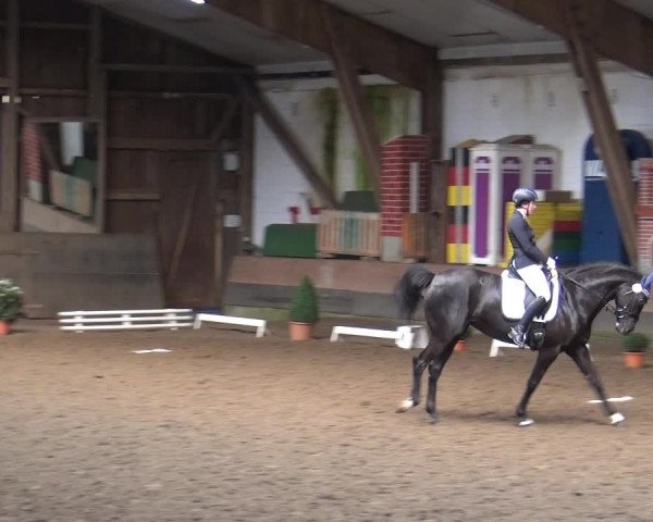 Reitturnier Hamburg-Hummelsbüttel 2018