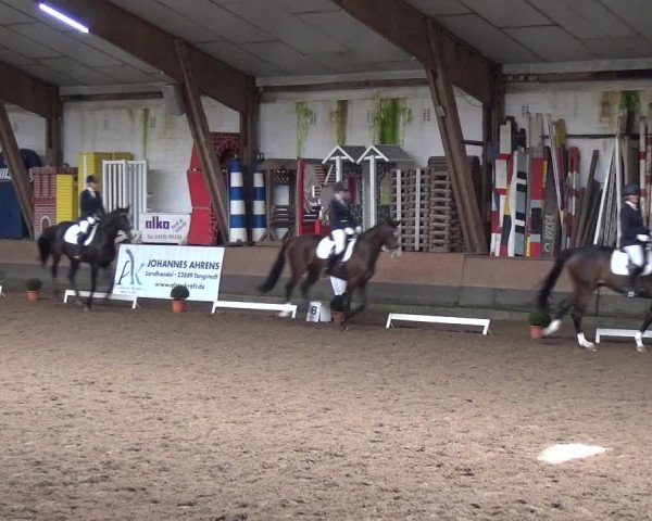 Reitturnier Hamburg-Hummelsbüttel 2018