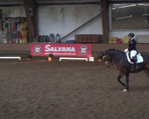 Reitturnier Hamburg-Hummelsbüttel 2018