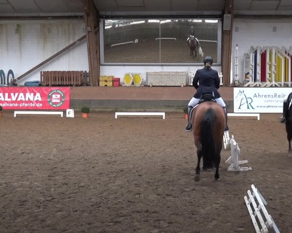 Reitturnier Hamburg-Hummelsbüttel 2018