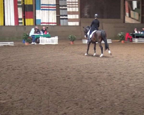 Reitturnier Hamburg-Hummelsbüttel 2018