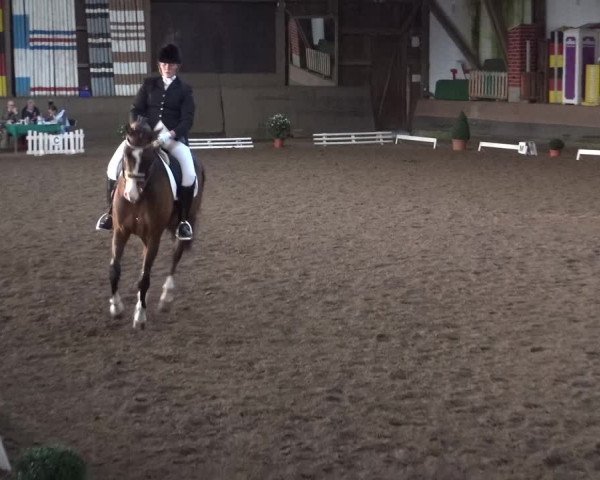 Reitturnier Hamburg-Hummelsbüttel 2018